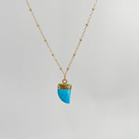 Turquoise Horn Necklace