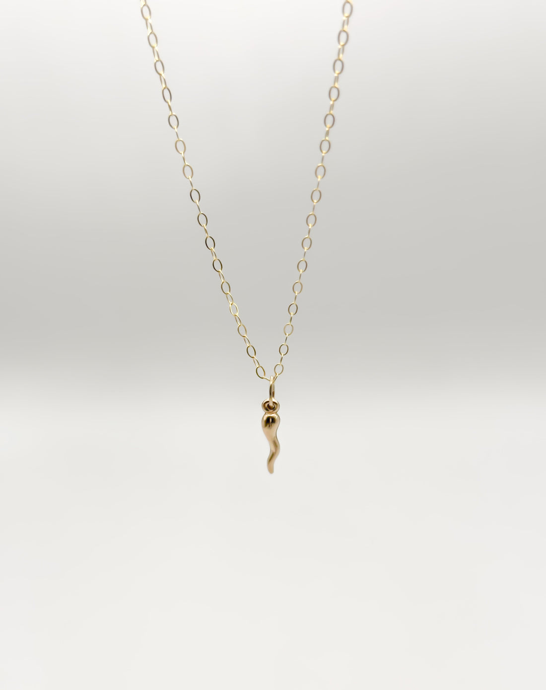 Dainty Italian Horn Necklace