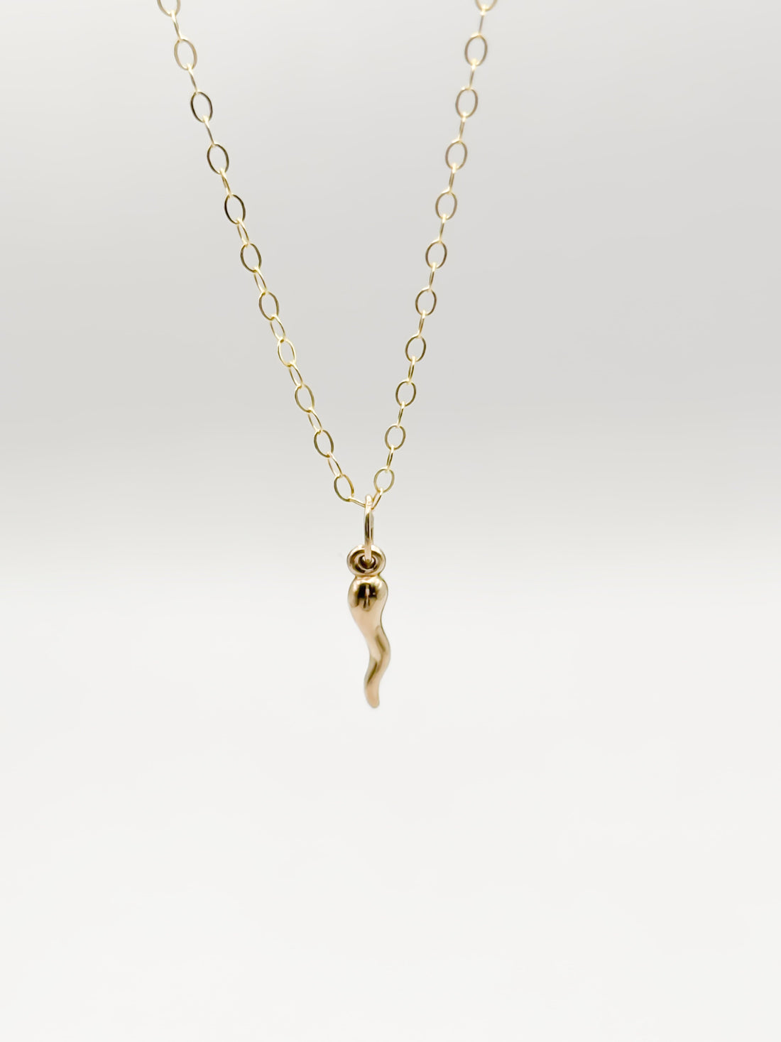Dainty Italian Horn Necklace